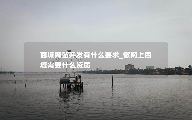 商城网站开发有什么要求_做网上商城需要什么资质