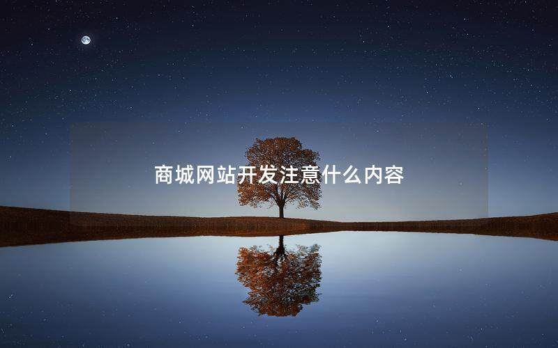 商城网站开发注意什么内容