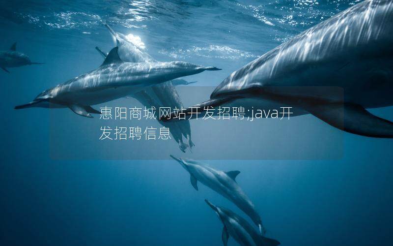 惠阳商城网站开发招聘;java开发招聘信息